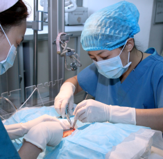 早产儿4.png 早产儿4.png